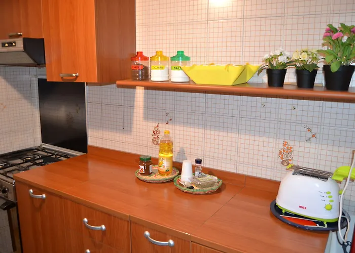 Street Art House 招待所